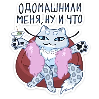 ✨