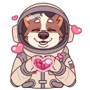 ⭐