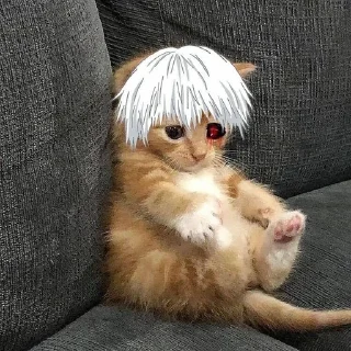 🖤