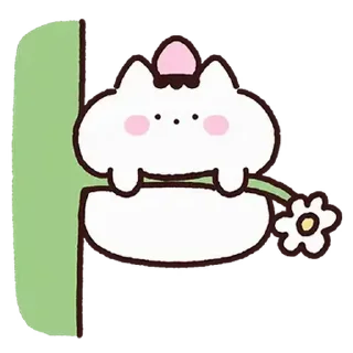 ⭐