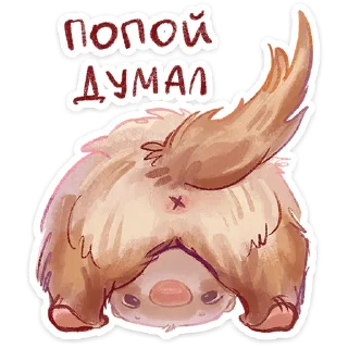 ⭐