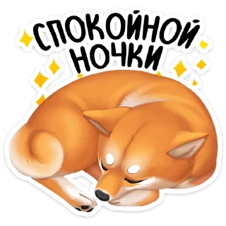 😴