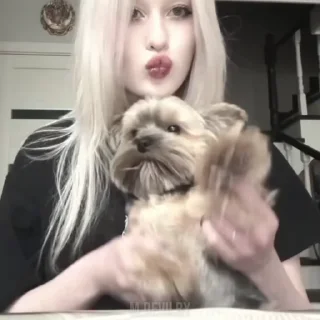 🌟