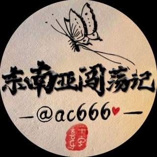 东南亚闯荡记 channel avatar