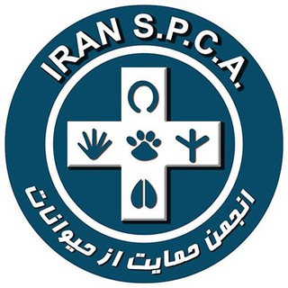 حیوانات واگذاری channel avatar