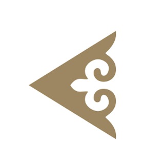Аватар канала Air Astana