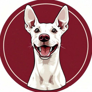 Пёс с тобой channel avatar