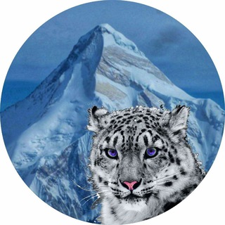 Туры выходного дня Алматы channel avatar
