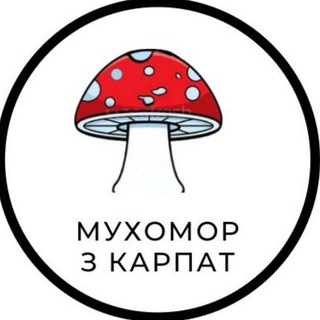 Мухомор з Карпат (Amanita chat)🍄 channel avatar