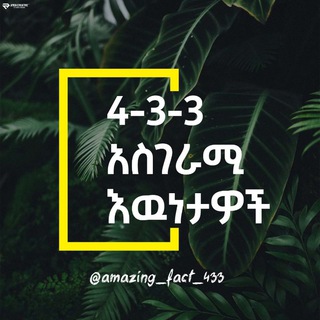 Аватар канала 4-3-3 አስገራሚ እውነታዎች