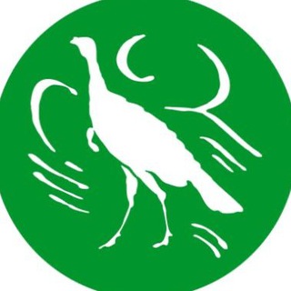 The American Spectator channel avatar