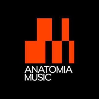 Аватар канала ИМПРОВИЗАЦИЯ ПО BERKLEE | ОНЛАЙН-ШКОЛА АНАТОМИЯ МУЗЫКИ
