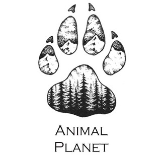 Animal Planet channel avatar