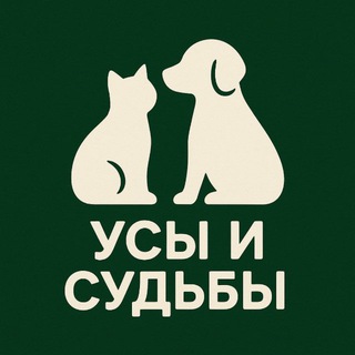 Аватар канала Усы и Судьбы | Помощь животным