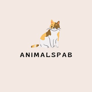 Аватар канала animalspab - блог о животных