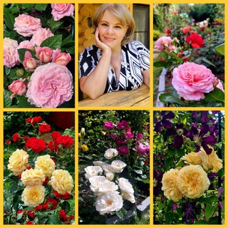 Цветочница Анюта channel avatar