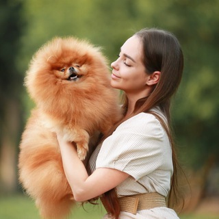 Питомник шпицев @Anna_fike channel avatar