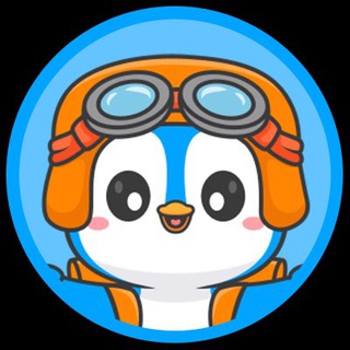 Arctic Pablo Official channel avatar