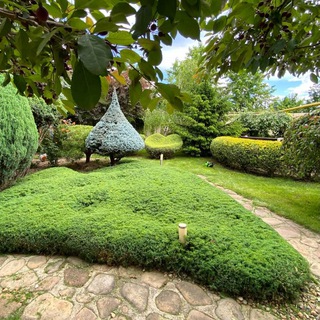 Аватар канала Astahov_Topiary