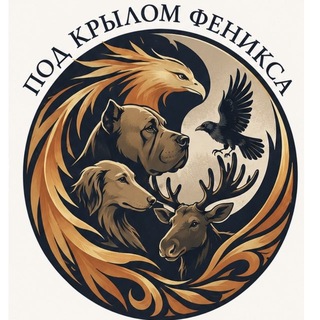 Аватар канала Пристанище Феникса