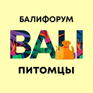 Бали Чат Питомцы | БалиФорум channel avatar