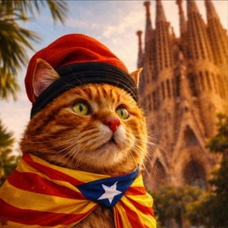 Барселонский движ- BCN EVENTS channel avatar
