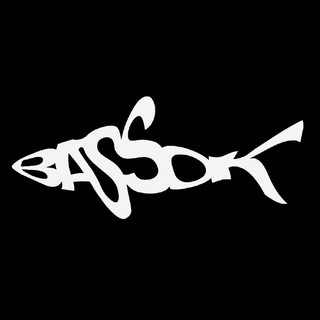 Аватар канала BASSOK
