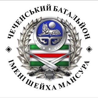 БАТАЛЬОН им. ШЕЙХА МАНСУРА channel avatar