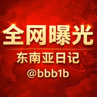 全网曝光|东南亚日记 channel avatar