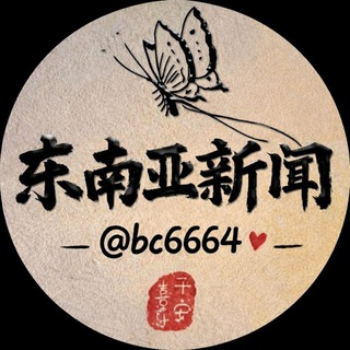 东南亚新闻 channel avatar