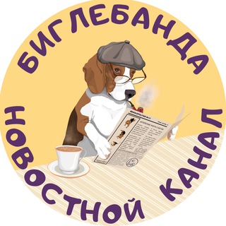 Биглебанда channel avatar