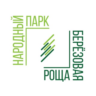 Аватар канала Штаб Берёзовая Роща