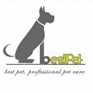 Аватар канала BestPet | «مرجع آگهی حیوانات خانگی»
