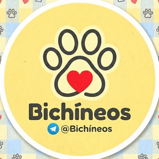 Аватар канала bichineos