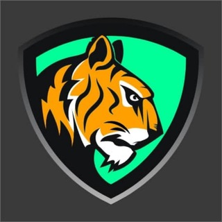 Biking官方中文交流群 channel avatar
