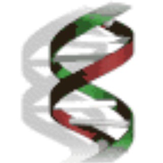 Аватар канала Bioinformatics