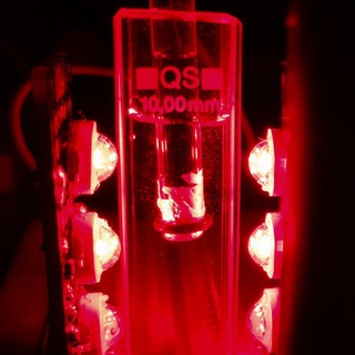 Biophotonics NSU channel avatar