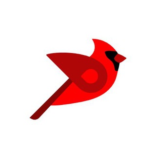 Bird Community Flock channel avatar