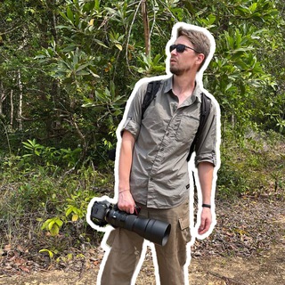BIRDS-N-ROLL channel avatar