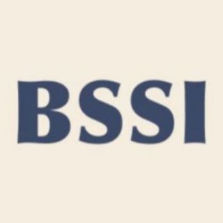 Black Sea Strategy Institute channel avatar