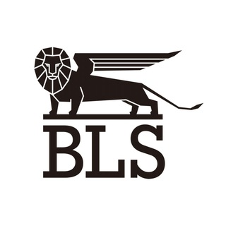 BLS | Трудовое право для бизнеса channel avatar