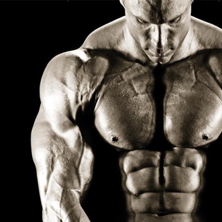 Bodybuilding & Fitness Books ebooks channel avatar