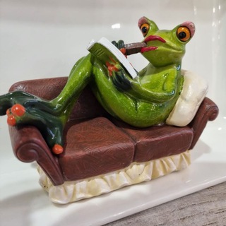 Книжкова жаба channel avatar