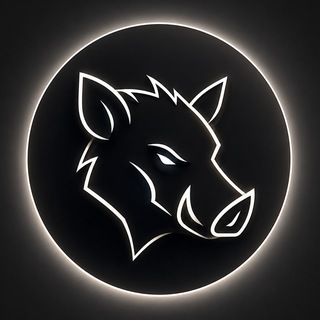 SCAN ◈ Info channel avatar