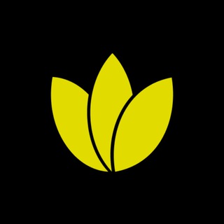 Разработка Ботов Сайтов Создание channel avatar