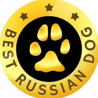 BEST RUSSIAN DOG ЛУЧШИЕ СОБАКИ РОССИИ channel avatar