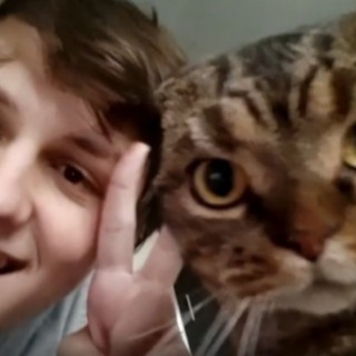 Колючая хатка / Както channel avatar