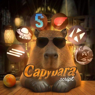 Аватар канала capybara_scripts