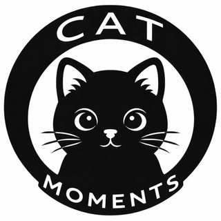 Аватар канала Cat Moments