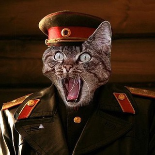 Кот Генерала channel avatar